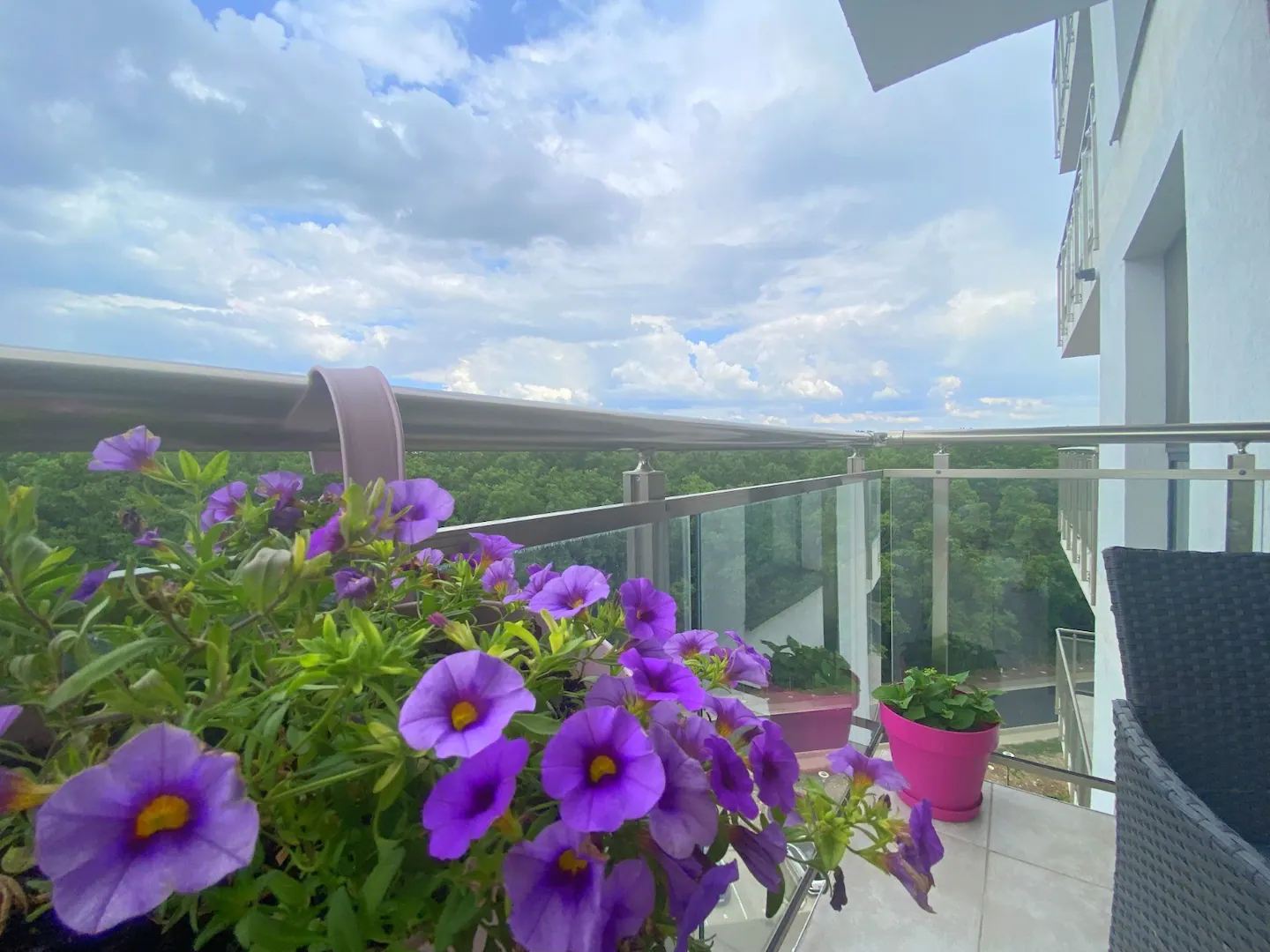 ffef9bad-f8c0-4735-b65d-8aa20dd42968-ezgif.com-webp-to-jpg-converter (1)